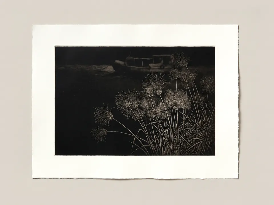 Night Reeds, 2016. Aquatint with etching on paper.