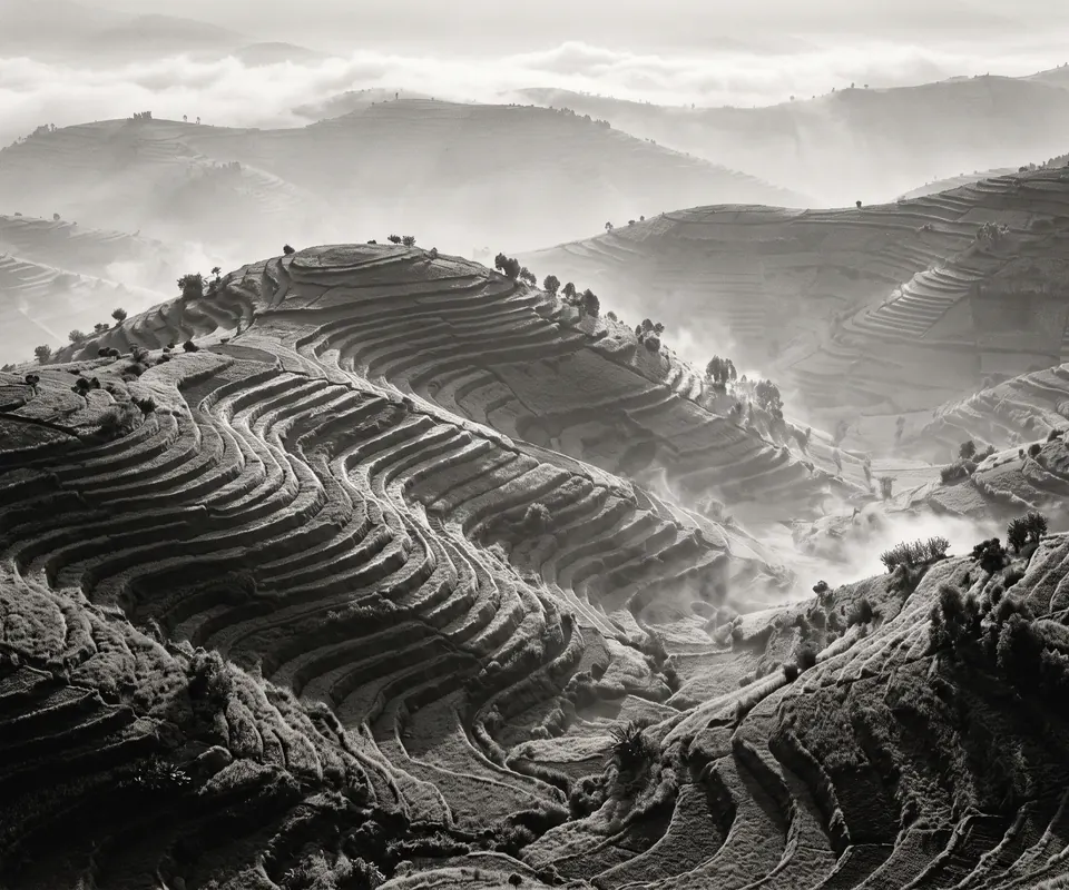 Terraces, Morning, 2020. Gelatin silver print.